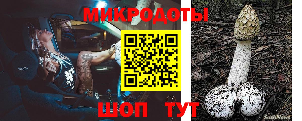 Псилоцибиновые грибы мухоморы Северобайкальск